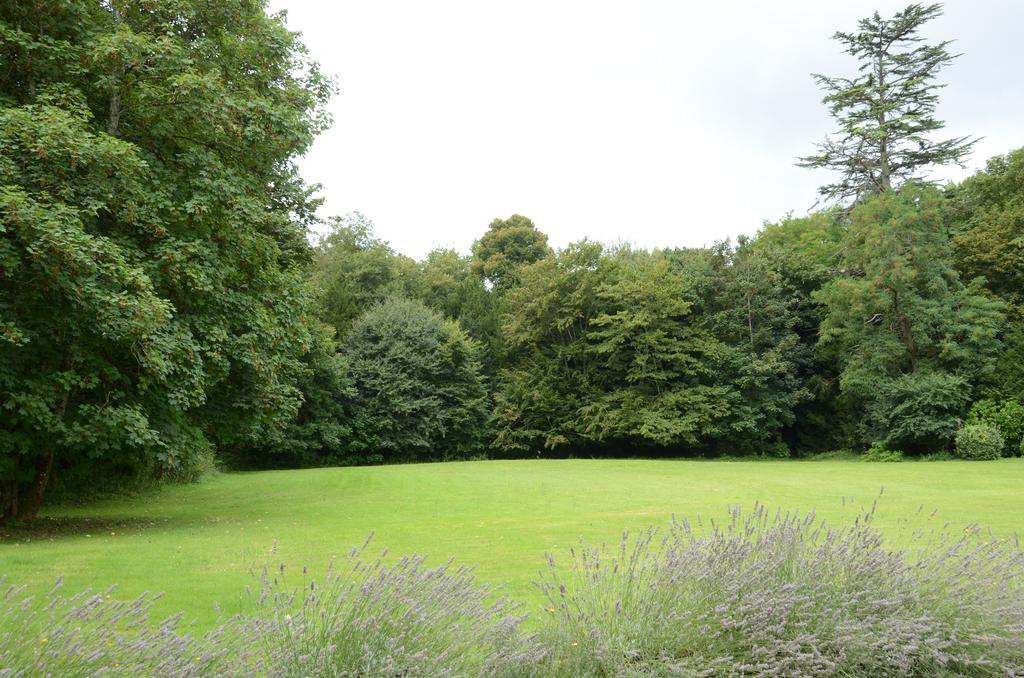 Les Mazeraies Maison D'Hotes Avec Spa Savonnieres ภายนอก รูปภาพ