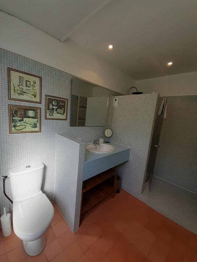 Les Mazeraies Maison D'Hotes Avec Spa Savonnieres ภายนอก รูปภาพ
