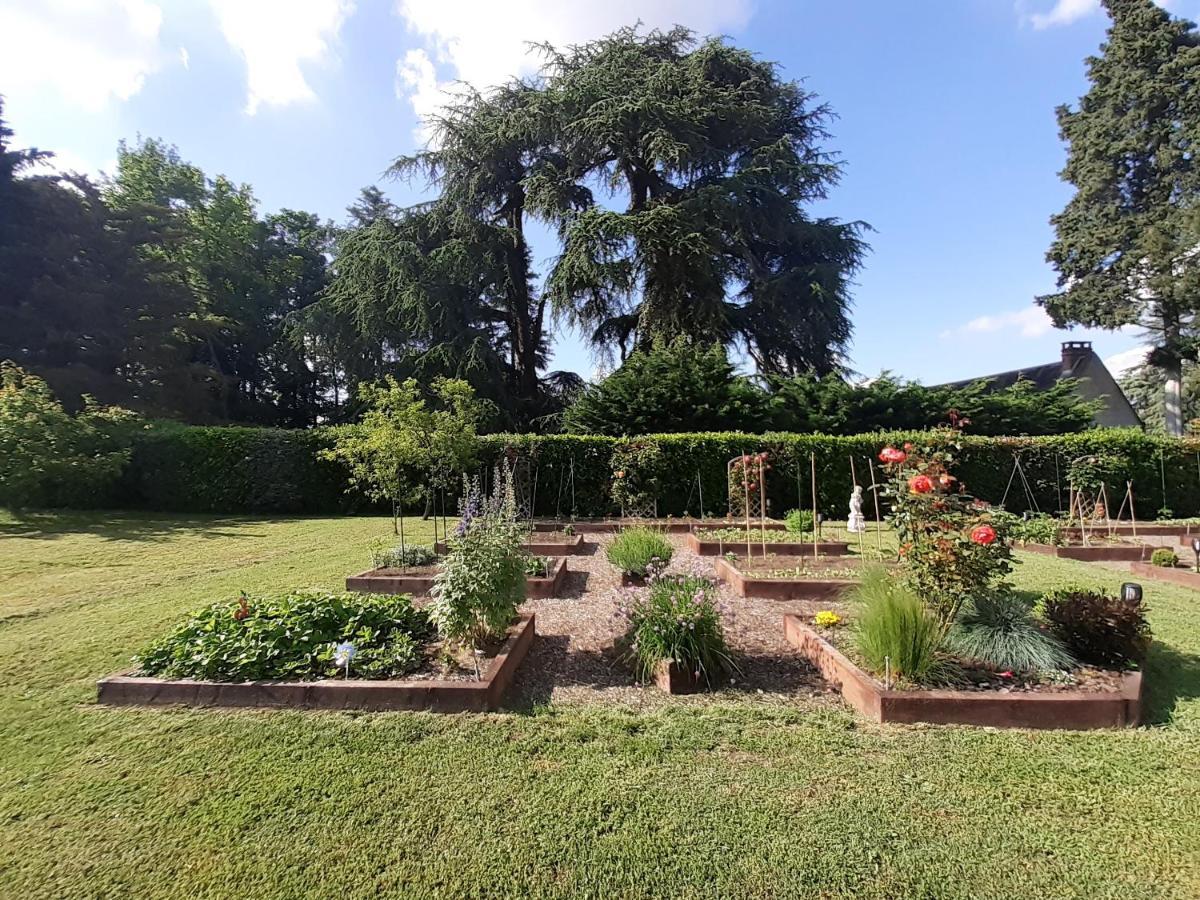 Les Mazeraies Maison D'Hotes Avec Spa Savonnieres ภายนอก รูปภาพ